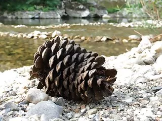 Уникальное хобби сосать большие эротические фото зрелых женщин члены